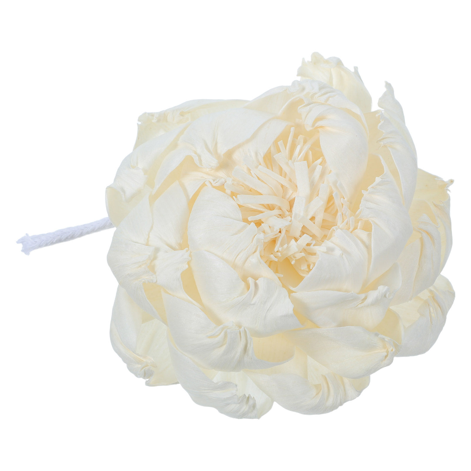 Difusor de Aroma Peony Head 12 - Home Decor Essentials avaliação e preço