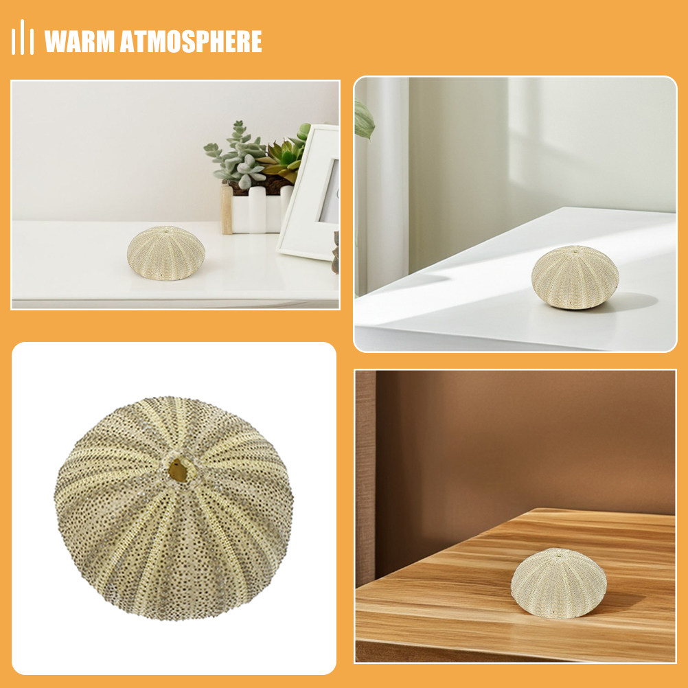 18 Peças de Conchas de Ouriço  - Home Decor Vase avaliação e preço
