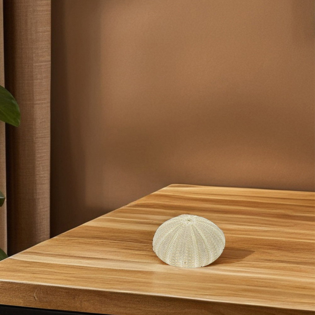 18 Peças de Conchas de Ouriço  - Home Decor Vase avaliação e preço