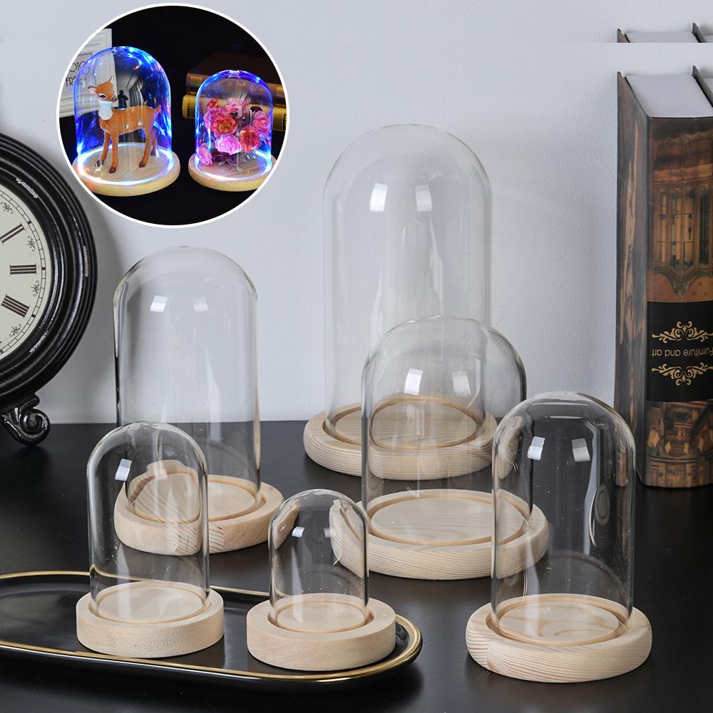 Vaso de vidro para plantas dec - Home Decor Vase avaliação e preço