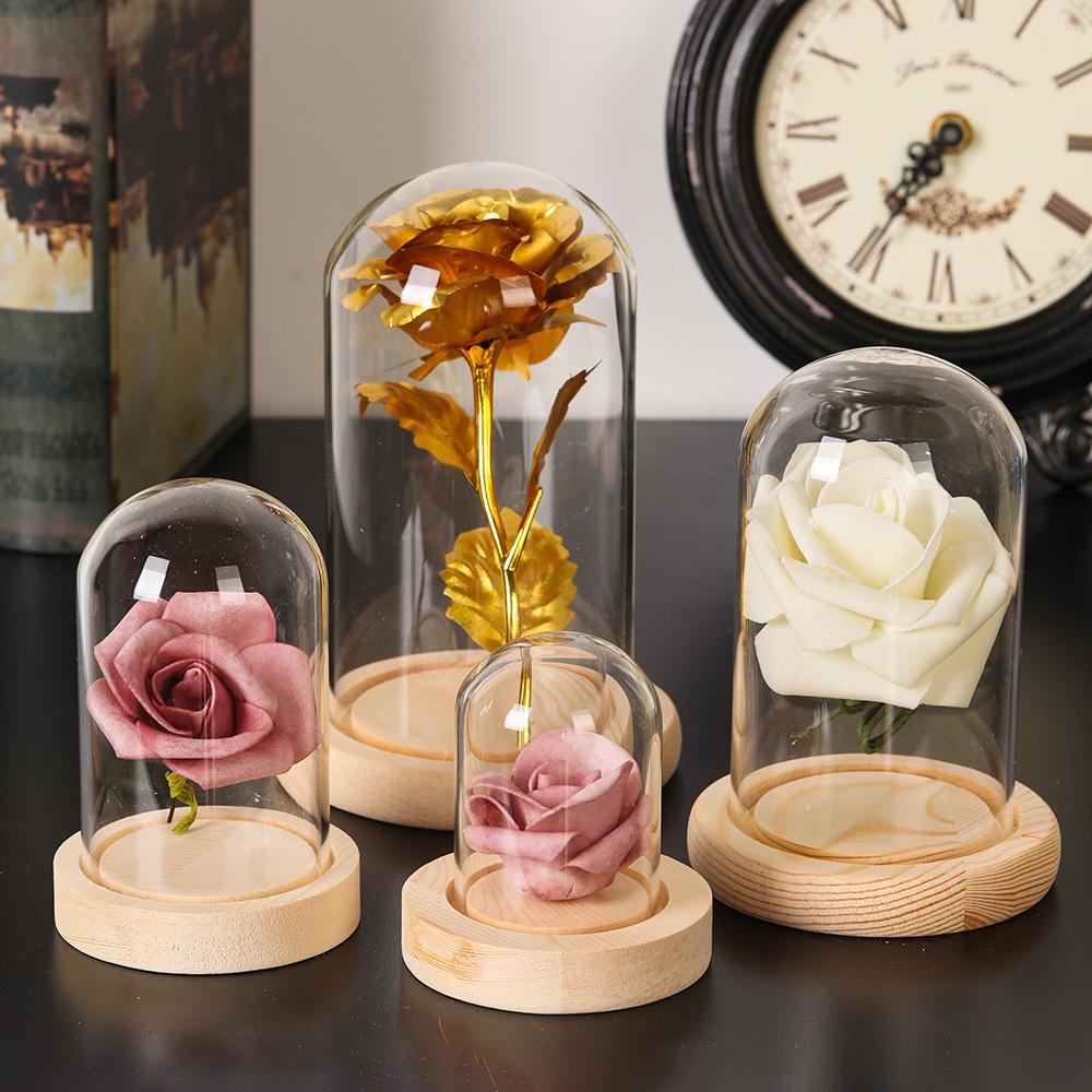 Vaso de vidro para plantas dec - Home Decor Vase avaliação e preço